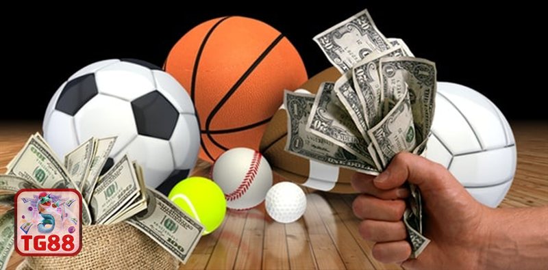 Thể thao SBO - Hỗ trợ khách hàng linh hoạt, phản hồi nhanh Thể thao SBO - Hỗ trợ khách hàng linh hoạt, phản hồi nhanh